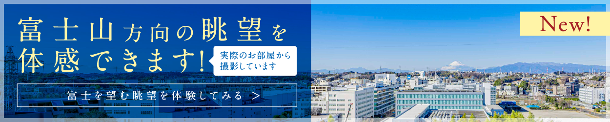 富士を望む眺望を体験してみる