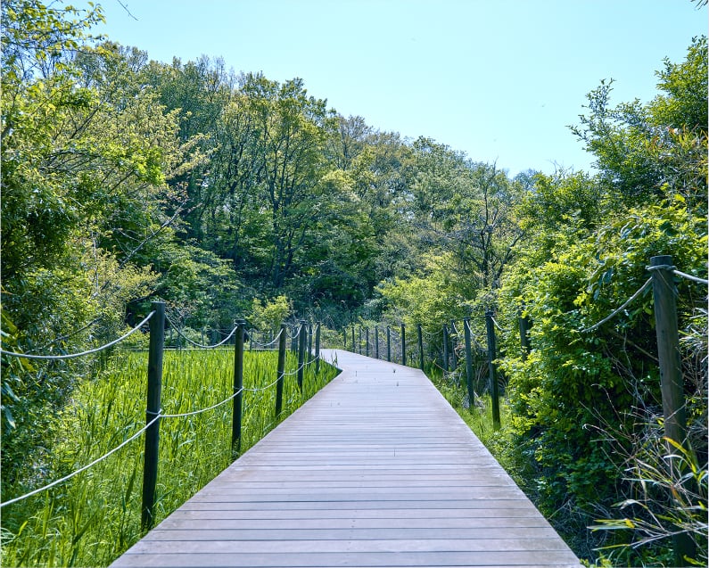 舞岡ふるさと村・舞岡公園