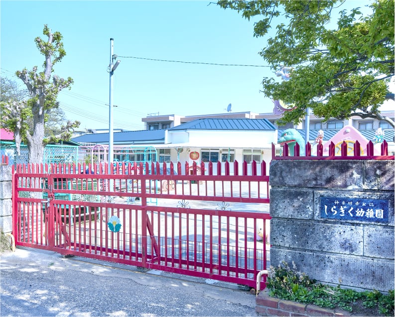 しらぎく幼稚園