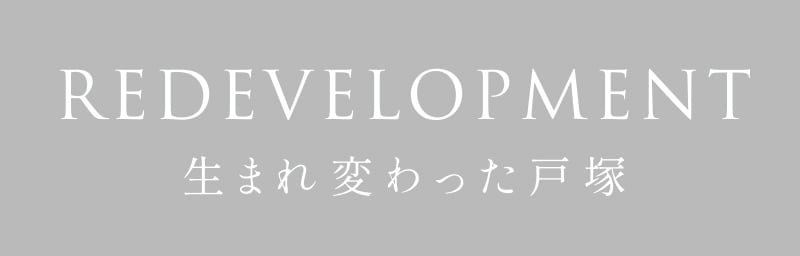 REDEVELOPMENT