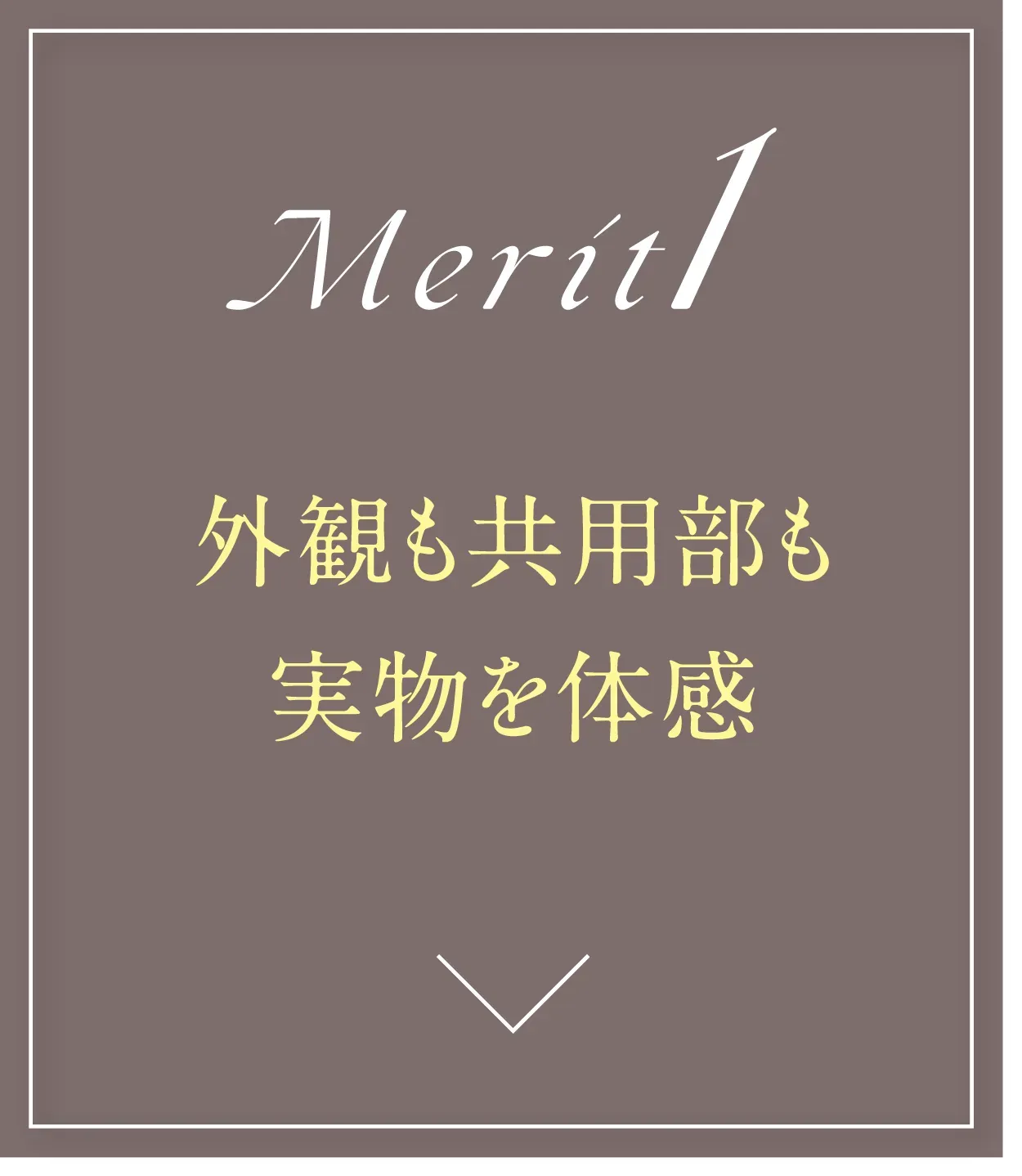 外観も共用部も実物を体感