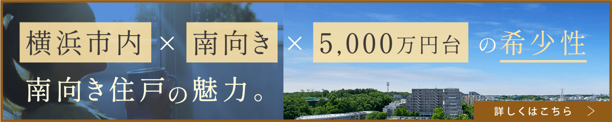 南向き住戸の魅力ページ